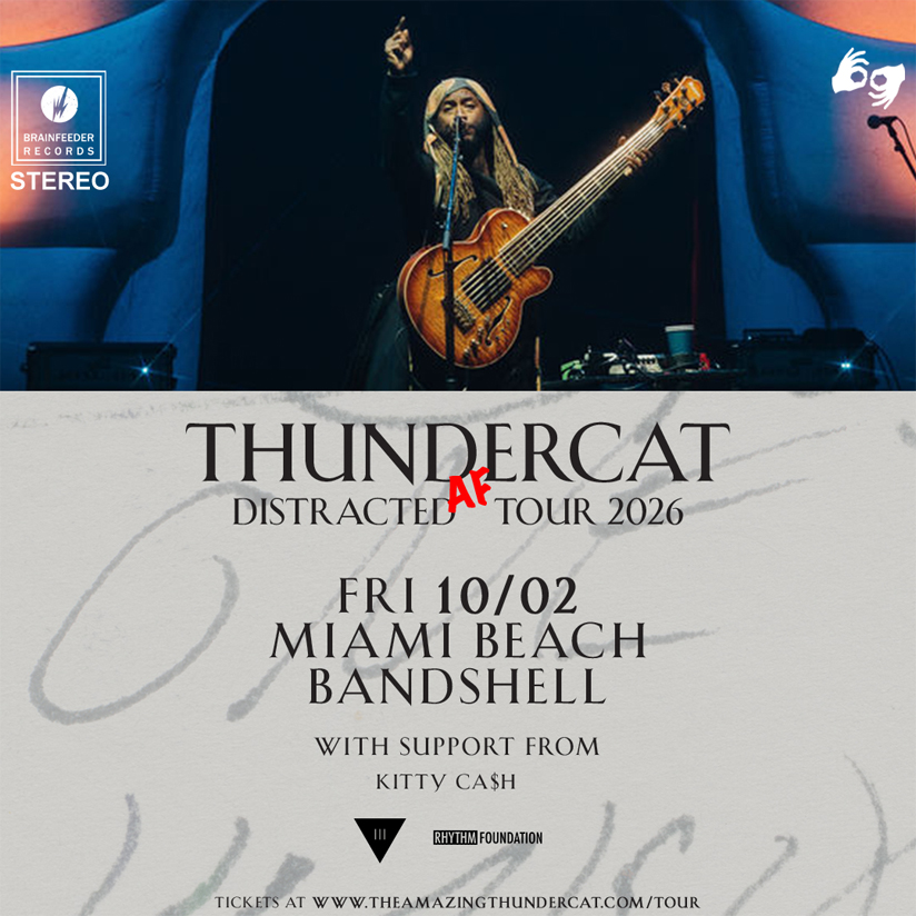 Thundercat - WDNA
